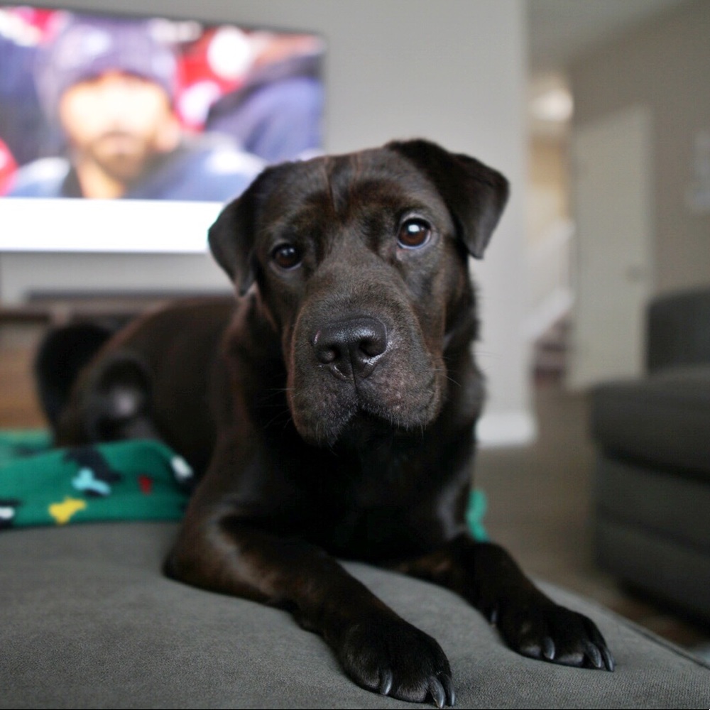 Meet your Posher, April